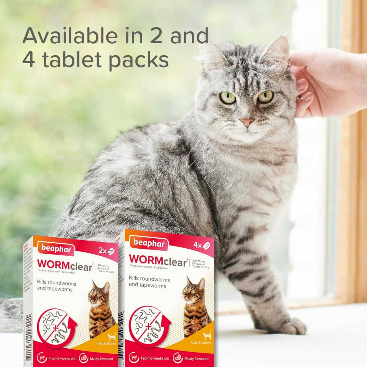 Beaphar WORMclear for Cats, Beaphar WORMclear tablets, Beaphar cat worming tablets, Beaphar wormer for cats UK, cat worming tablets UK, vet strength cat wormer, cat deworming tablets, worm tablets for cats, cat roundworm treatment, cat tapeworm treatment, kitten worming tablets, kitten dewormer UK, cat intestinal worm treatment, cat parasite treatment tablets, meat flavoured cat worm tablets, easy administer cat wormer, over the counter cat wormer UK, praziquantel cat wormer, pyrantel embonate cat wormer,