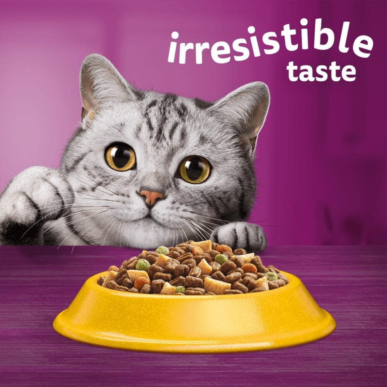 Wholesome Kibble for Cats
Wholesome Dry Cat Food
Wholesome Cat Food with Omega-3
Wholesome Cat Food with Chicken
WHISKAS Premium Cat Food 7kg
WHISKAS Kibble for Adults
WHISKAS Healthy Cat Food
WHISKAS for Healthier Cats
WHISKAS for Adult Cats
WHISKAS Dry Cat Food 1+
WHISKAS Complete Cat Food
WHISKAS Chicken Meal for Cats
WHISKAS Chicken Meal
WHISKAS Chicken Kibble
WHISKAS Chicken Dry Food
WHISKAS Chicken Biscuits
WHISKAS Cat Food with Chicken 7kg
WHISKAS Cat Food with Chicken
WHISKAS Cat F