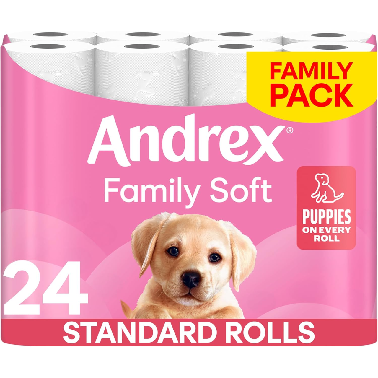 Andrex Family Soft Toilet Rolls 24 Pack Family Pack 170  Sheets Per Roll (Previously Andrex Gentle Clean)