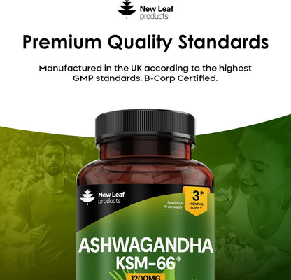 Ashwagandha KSM-66

Ashwagandha 1200mg

KSM-66 Ashwagandha Capsules

High Strength Ashwagandha

Ashwagandha Root Extract

Supplement & Benefit Keywords

Stress Relief Supplement

Adaptogen Supplement

Energy Boost Supplement

Anxiety Support Supplement

Mood Support

Mental Focus & Clarity

Cortisol Balance

Natural Stress Support

Quality & Lifestyle Keywords

Vegan Ashwagandha Tablets

Plant-Based Supplement

Non-GMO Supplement

Herbal Supplement

Premium Ashwagandha