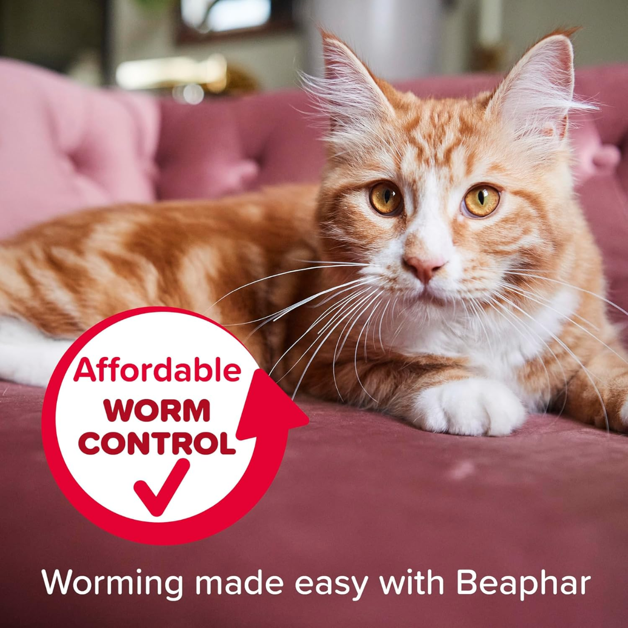 Beaphar WORMclear for Cats, Beaphar WORMclear tablets, Beaphar cat worming tablets, Beaphar wormer for cats UK, cat worming tablets UK, vet strength cat wormer, cat deworming tablets, worm tablets for cats, cat roundworm treatment, cat tapeworm treatment, kitten worming tablets, kitten dewormer UK, cat intestinal worm treatment, cat parasite treatment tablets, meat flavoured cat worm tablets, easy administer cat wormer, over the counter cat wormer UK, praziquantel cat wormer, pyrantel embonate cat wormer,