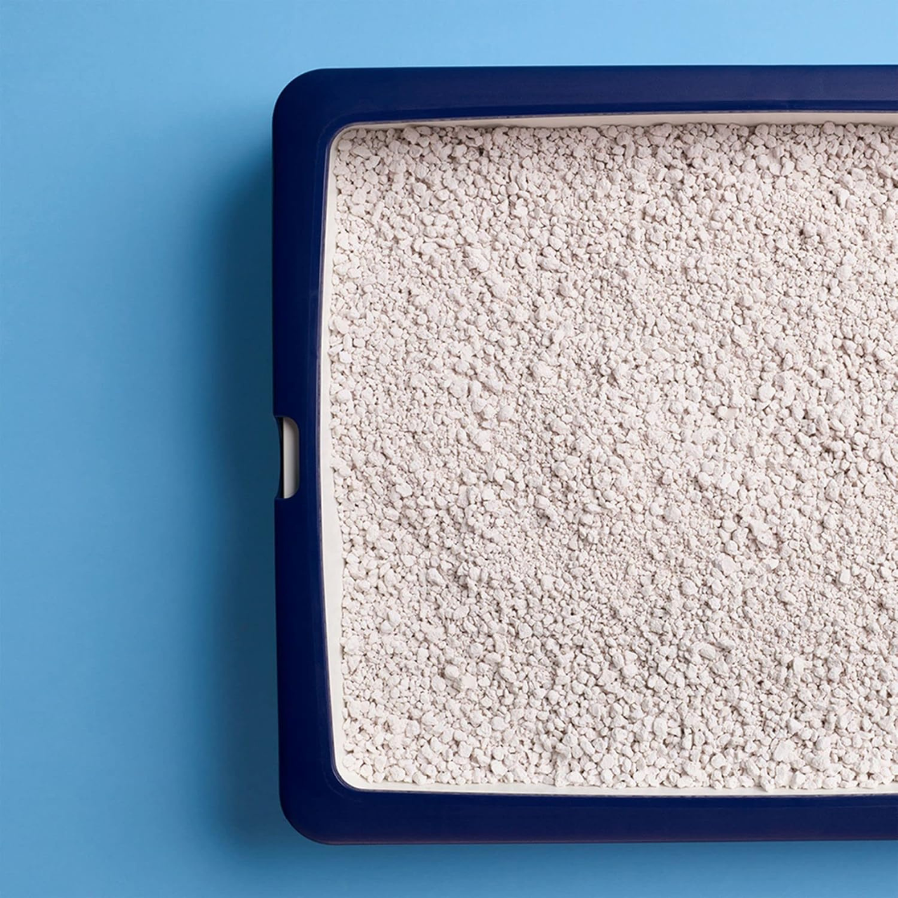 Unscented Cat Litter

Superior Odor Control

Safe Cat Litter for Kittens

Quartz Cat Litter

Premium Cat Litter

Odour Control Cat Litter

Odor Absorbing Cat Litter

Non-Toxic Cat Litter

Natural Cat Litter

Low Dust Clumping Litter

Low Dust Cat Litter

Long-Lasting Cat Litter

Hypoallergenic Cat Litter

Hygiene Plus Cat Litter

Eco-Friendly Cat Litter

Clumping Cat Litter for Easy Cleaning

Clumping Cat Litter 20L

Clumping Cat Litter

Catsan Hygiene Plus

Catsan Cat Litter

Cat Litter with Antibacterial 