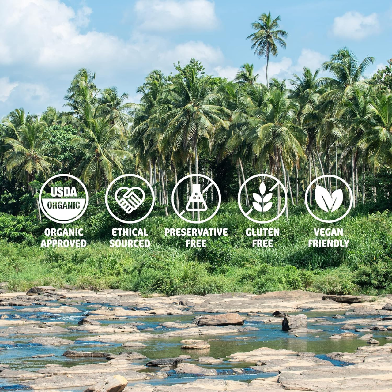 organic coconut oil

extra virgin coconut oil

cold pressed coconut oil

raw coconut oil

pure coconut oil

coconut oil 200ml

coconut oil for cooking

coconut oil for hair

coconut oil for skin

organic coconut oil uk

virgin coconut oil uk

unrefined coconut oil

natural coconut oil

coconut oil sri lanka

edible coconut oil

coconut oil for baking

coconut oil for frying

coconut oil mct

mct coconut oil

coconut oil beauty

coconut oil skincare

coconut oil hair care

coconut oil massage

organic cookin