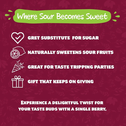 miracle berries tablets

miracle fruit tablets

zero sugar sweetener

calorie free sweetener

natural sweetener tablets

sugar free sweetener uk

miracle berry pills

keto friendly sweetener

diabetic friendly sweetener

healthy sugar alternative

miracle berries uk

natural sugar substitute

zero calorie sweetener

low carb sweetener

sweetener for diabetics

vitamin c supplement tablets

plant based sweetener

natural taste modifier

sugar craving control

weight loss sweetener

keto diet sweetener

no su