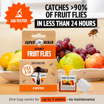 fruit fly trap uk

indoor fruit fly trap

kitchen fruit fly trap

fruit fly killer

natural fruit fly trap

pet safe fruit fly trap

child safe fruit fly trap

non toxic fruit fly trap

fruit fly catcher indoor

fly trap for kitchen

indoor fly killer

home fly control

eco friendly fruit fly trap

best fruit fly trap uk

liquid bait fruit fly trap

long lasting fruit fly trap

fast acting fruit fly trap

fly trap for home

fly catcher kitchen

indoor pest control

household fly trap

small fly trap

discre