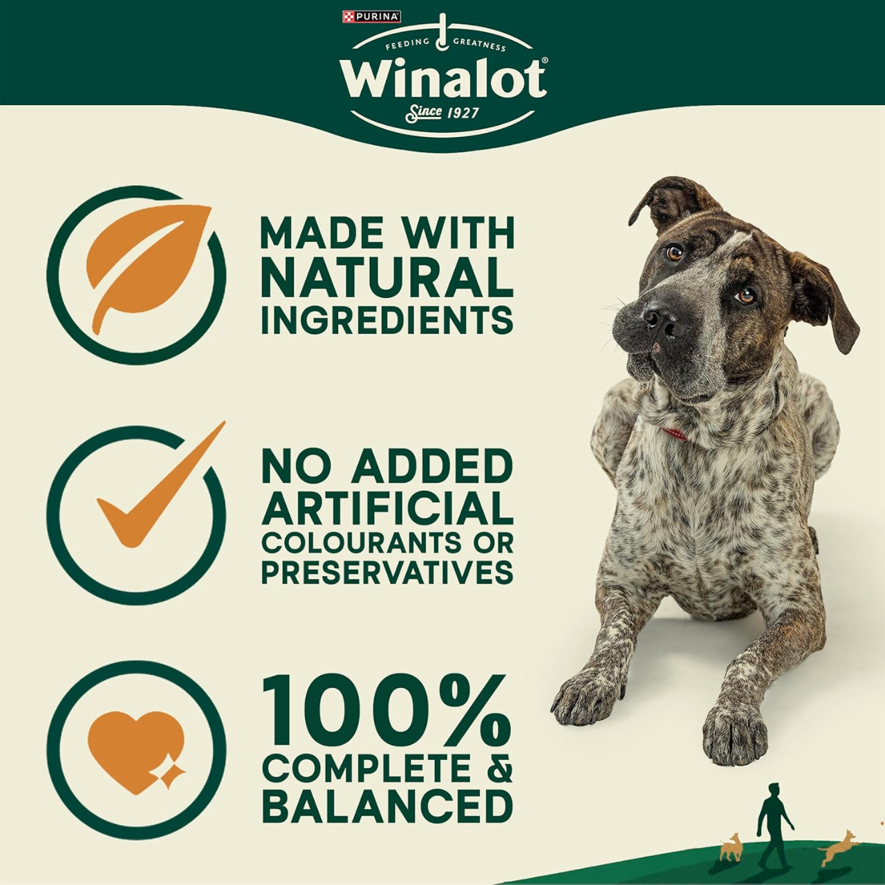 winalot dog food adult wet gravy, winalot mixed flavour wet dog meals, winalot dog food complete daily feeding, winalot gravy pouch dinners for dogs, winalot dog food nutritious wet meals, winalot dog food healthy digestion formula, wet dog food gravy adult nutrition, wet dog food complete adult meals uk, wet dog food mixed flavour gravy pack, wet dog food convenient pouch feeding, dog food adult gravy meals daily, dog food nutritionally balanced wet diet, dog food wet gravy maintenance meals, dog food adul